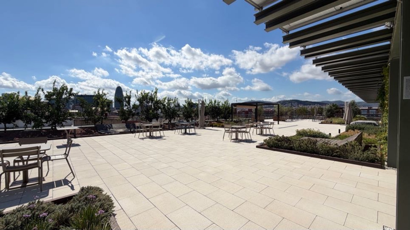 The rooftop terrace