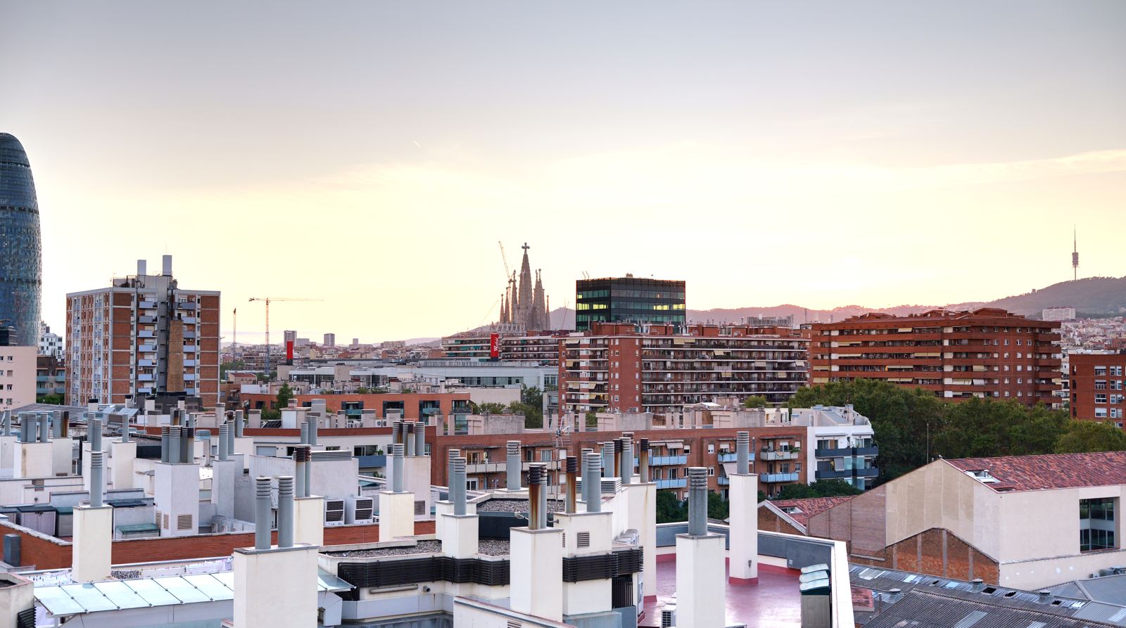 The view from the roof